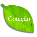 cotacao